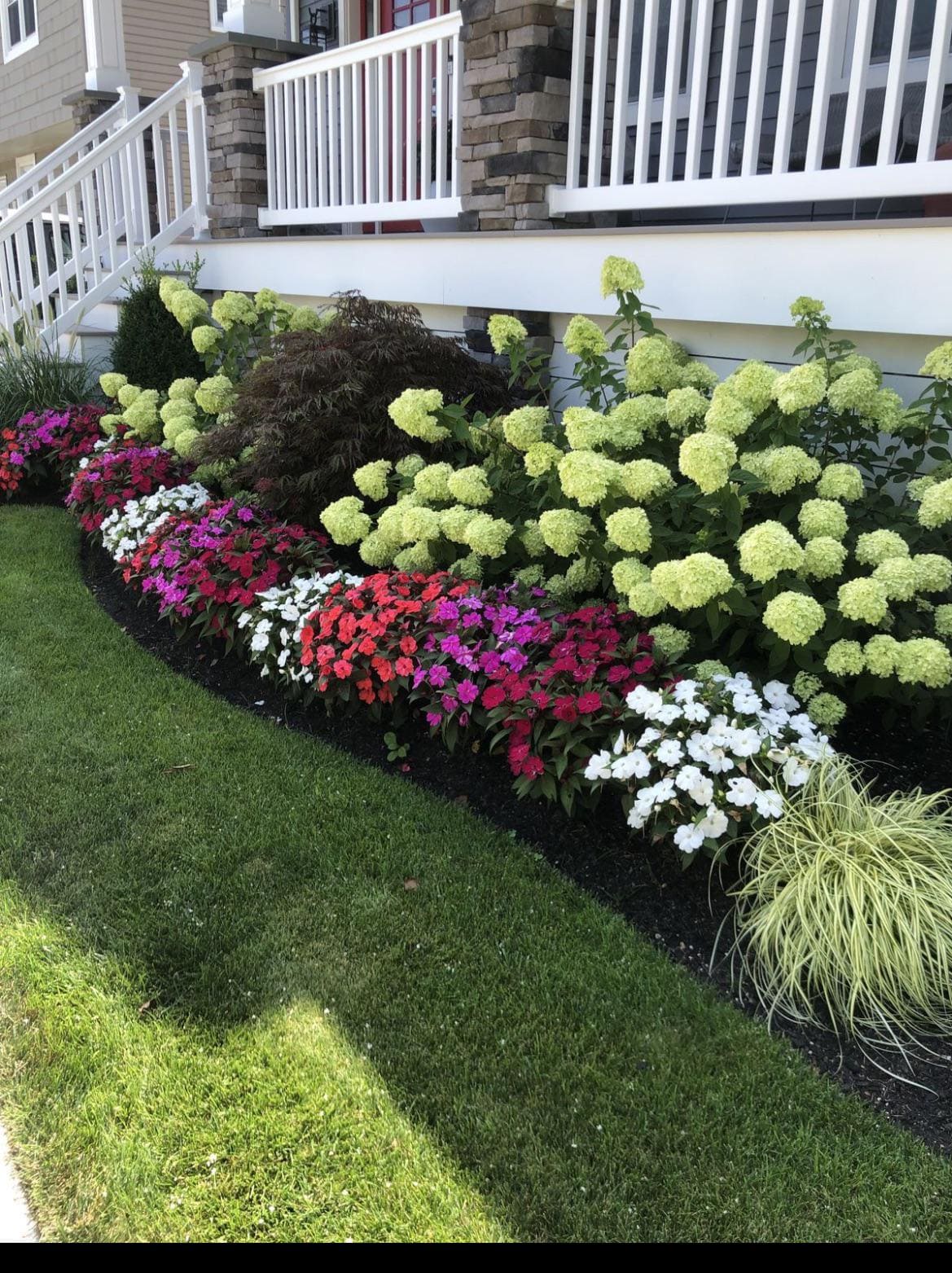 Hydrangeas on the north side