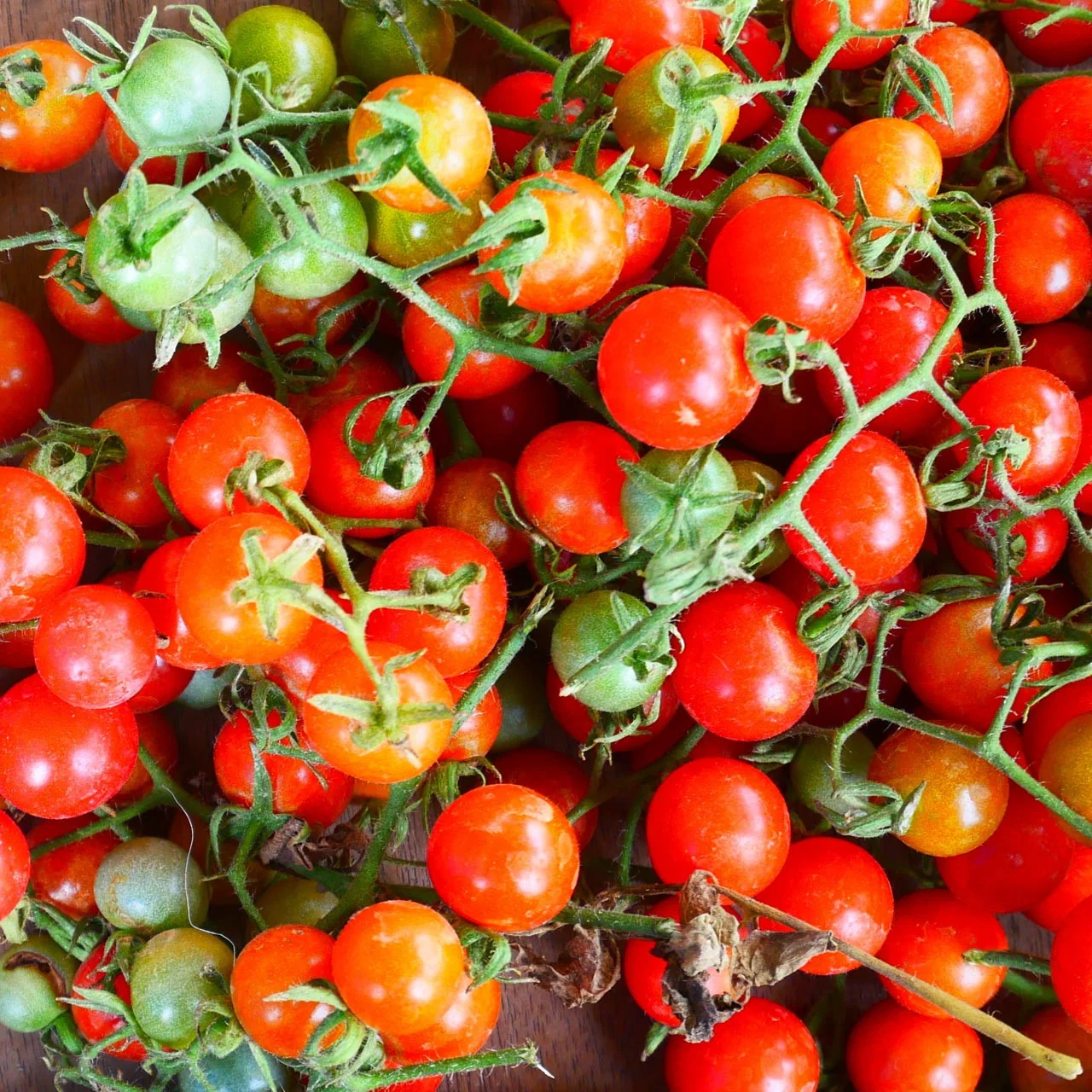 Matts Wild Cherry Tomatoes