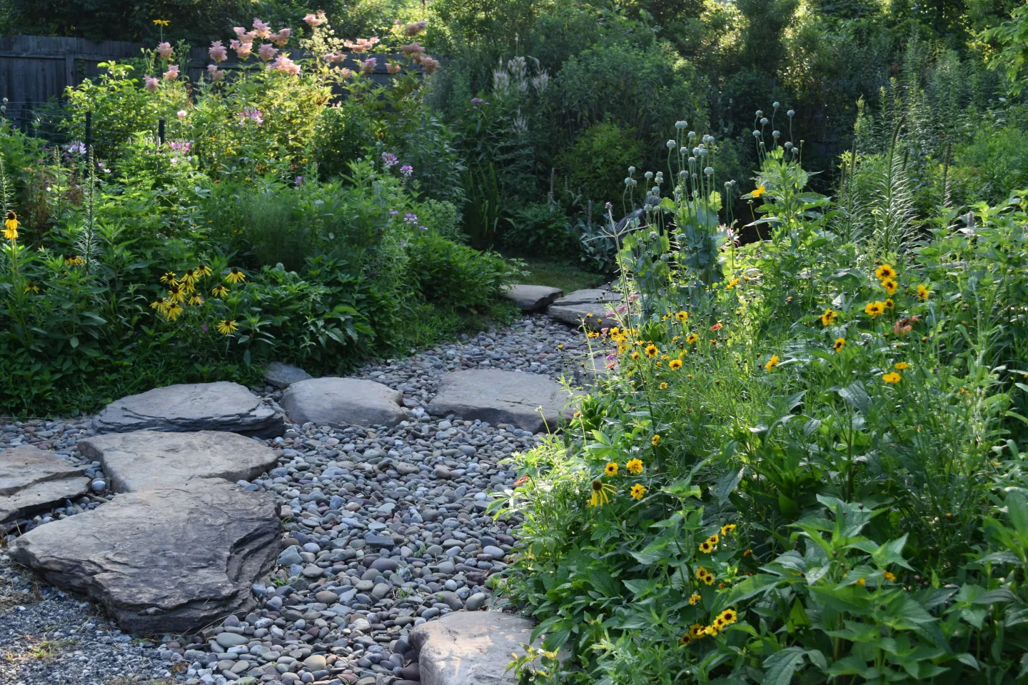 Rain garden