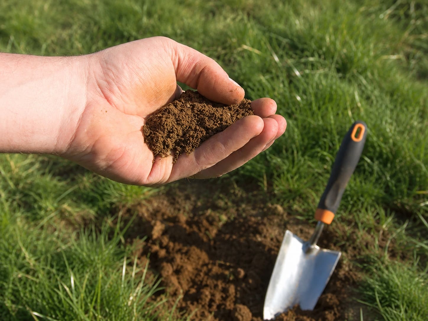 Test the soil to plant grass seed