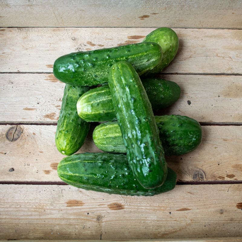 Calypso Cucumbers