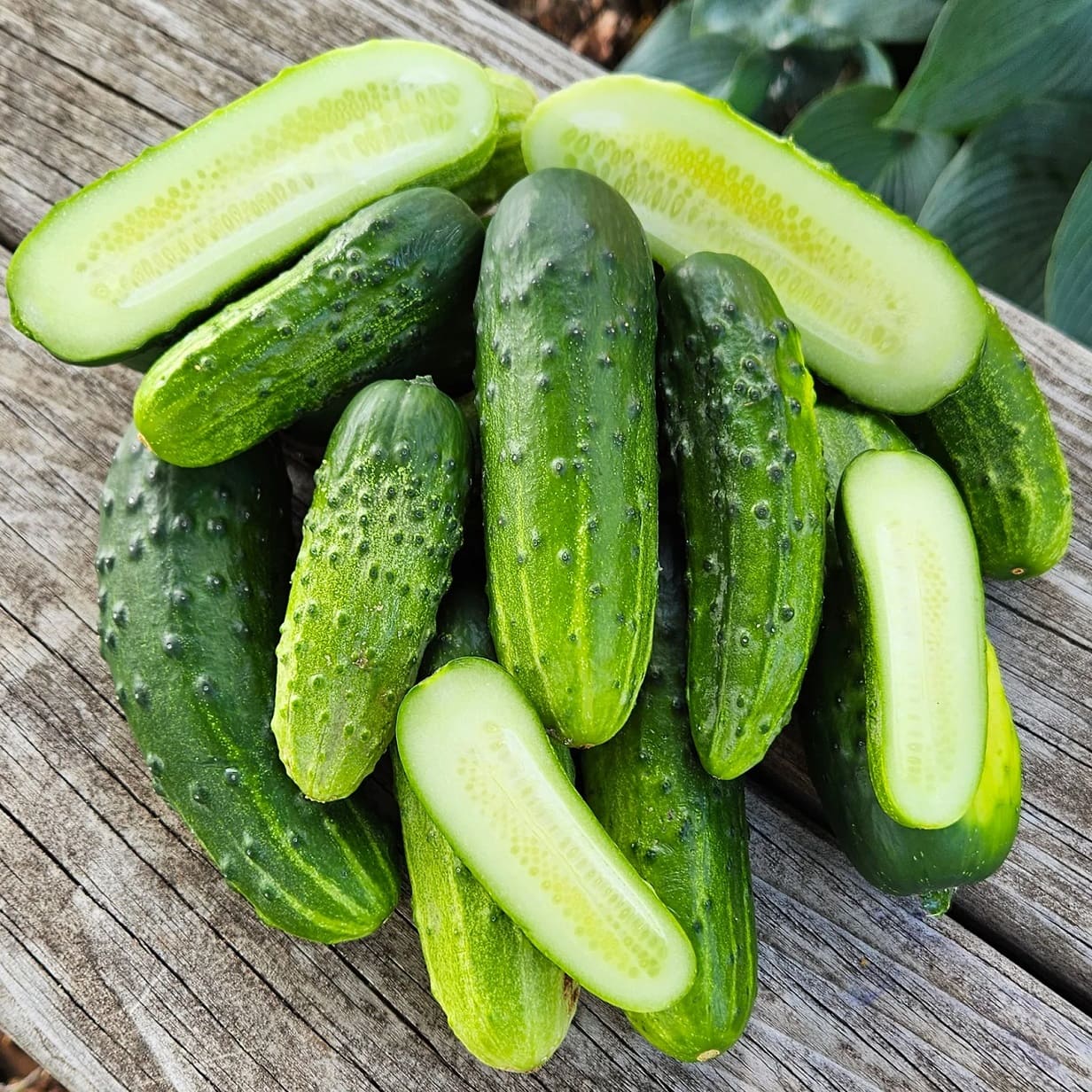 County Fair Cucumbers
