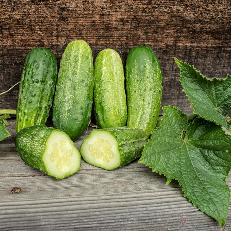 Homemade Pickles Cucumbers