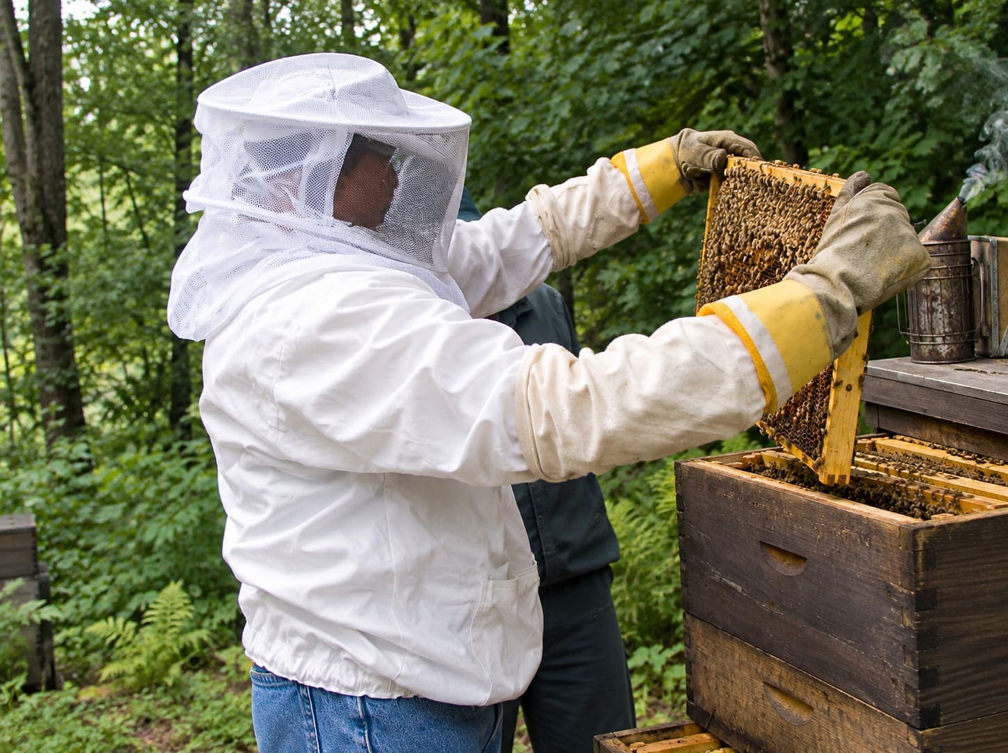 Inspecting Your Hive