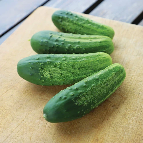 Regal Cucumbers